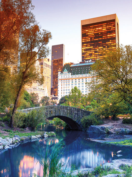 Central Park View