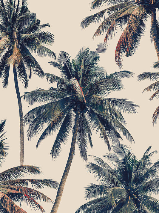 Vintage Palms