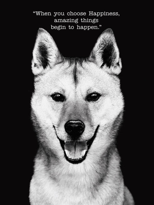 Auggie with Text