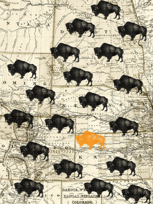 Where the Buffalo Roam