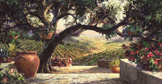 Napa Patio
