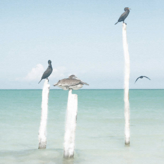 Sentries