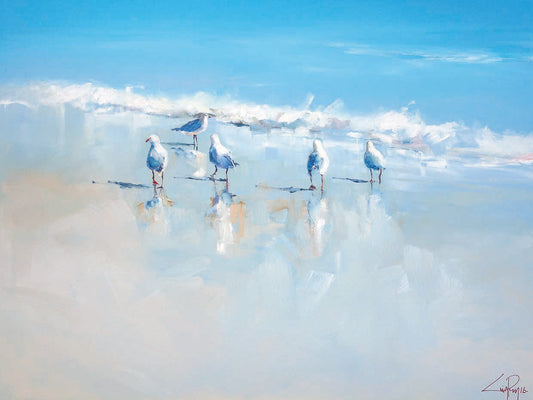 Sorrento Gulls