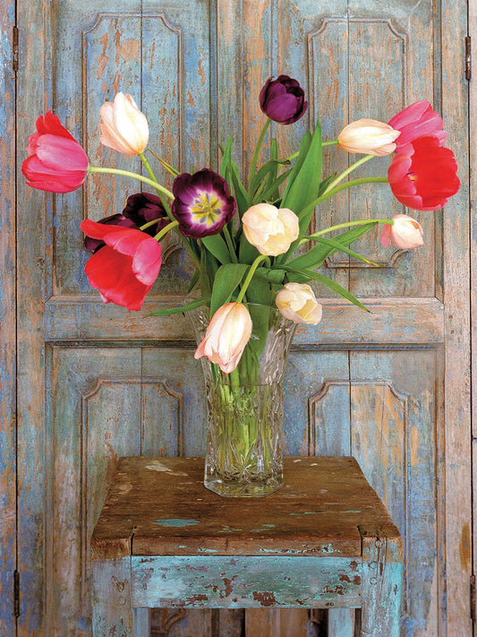 Tulips, Mexico
