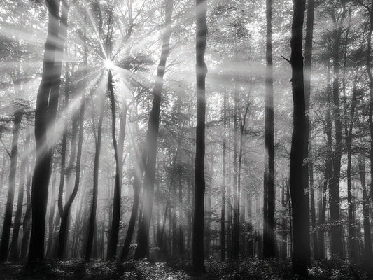 Breaking Through