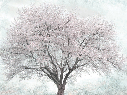 A Feeling of Spring I
