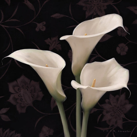 Calla Elegante