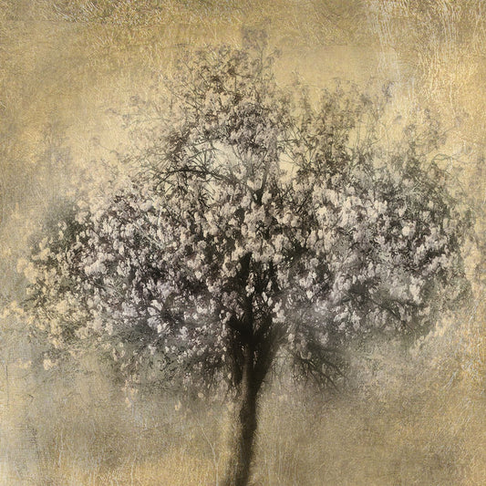 Gold Blossoms