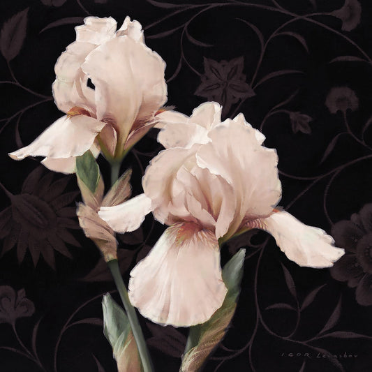 Iris Elegante