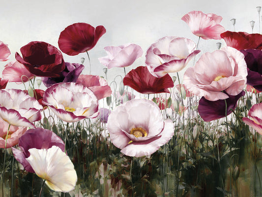 Royal Poppy Field