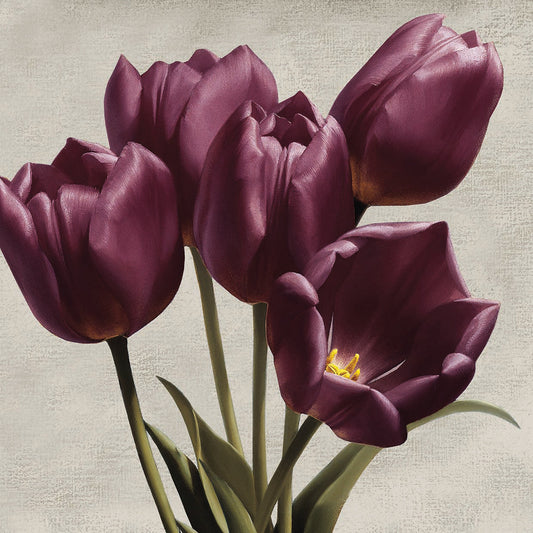 Royal Tulips