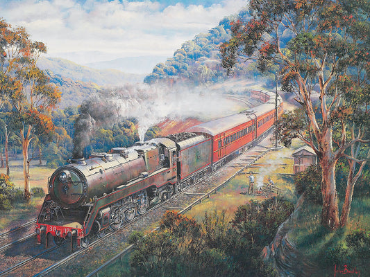 Newcastle Flyer