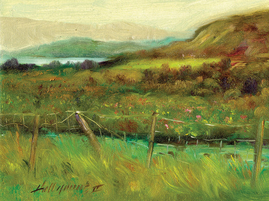 Ring of Kerry, Ireland #10