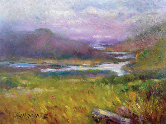 Ring of Kerry, Ireland #14