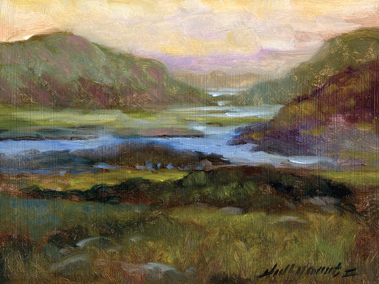 County Cork #14