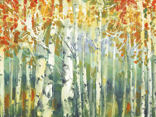 Abstract Birch Trees Warm