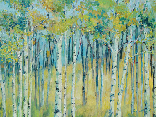 Birch Forest