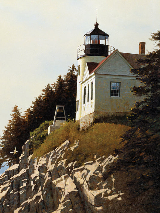Cliff