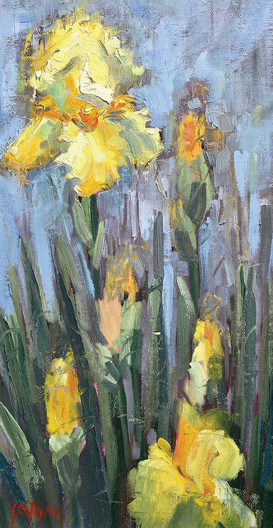 Yellow Iris And Co