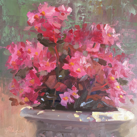 Bridgitt's Begonias