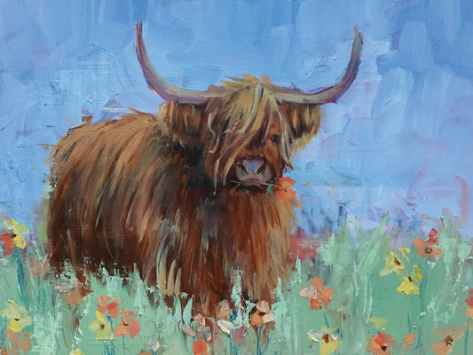 Scottish Highland Cow