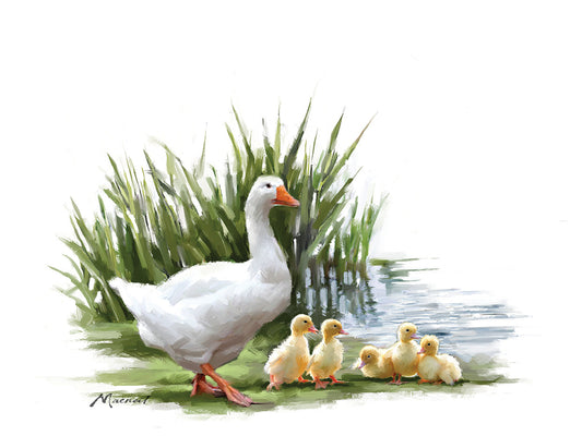 Goose With Young