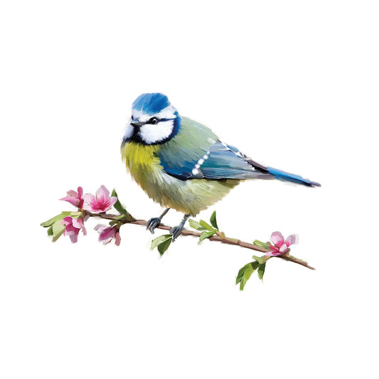Bluetit