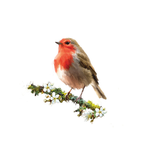 Robin