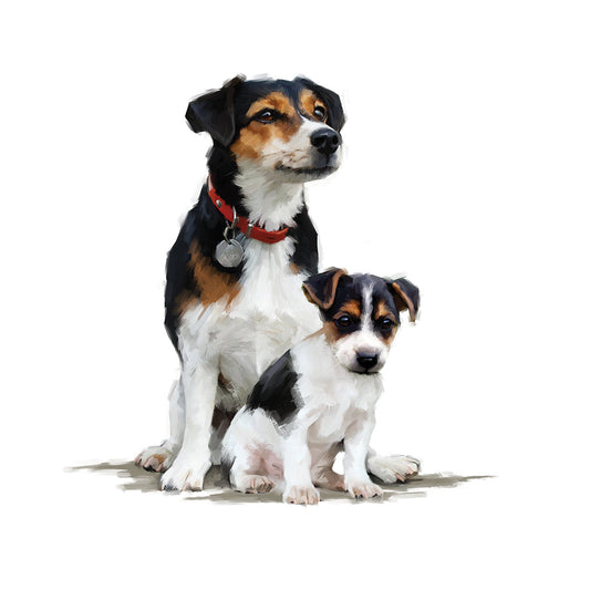 Jack Russell