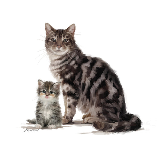 Tabby