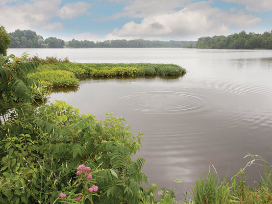 St. Joseph River, Centreville, Michigan ‘10