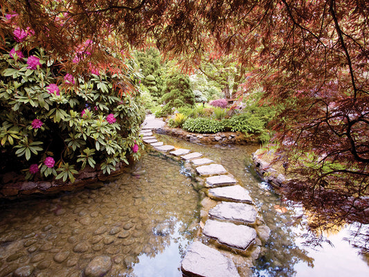 Stepping Stones at Butchart Gardens #2, Victoria, B.C. ‘09