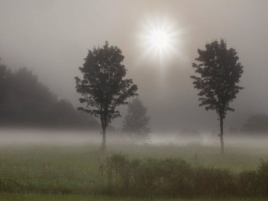 Two Trees & Sunburst, Logan, Ohio ‘10