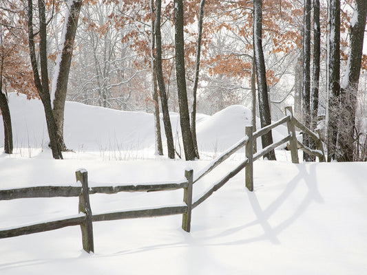 Winter Fence & Shadow, Farmington Hills, Michigan ‘09