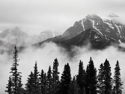 Mountains & Mist, Canada 99