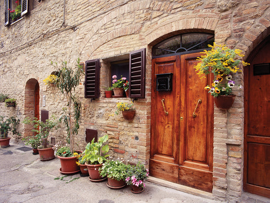 Flowers On The Wall, Tuscany, Italy 06 - Color