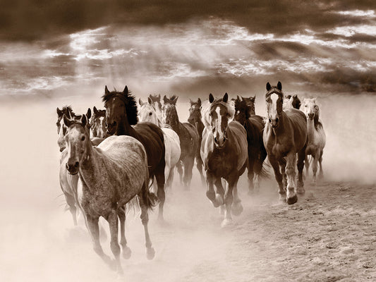 Dust & Thunder, Rothbury, Michigan '07