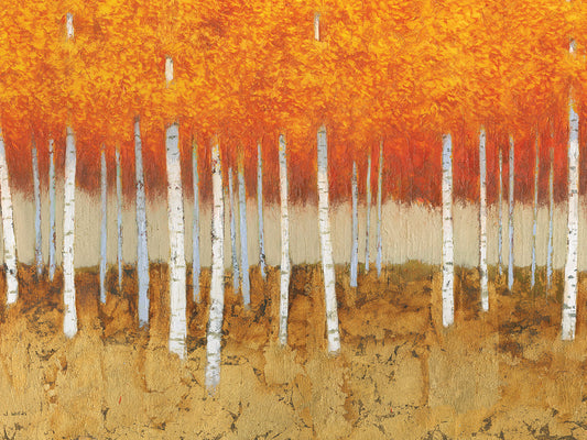 Autumn Birches