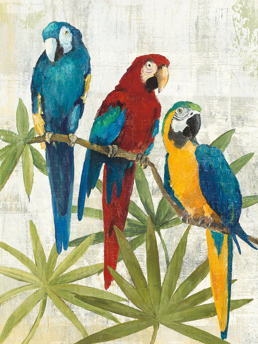 Birds of a Feather II