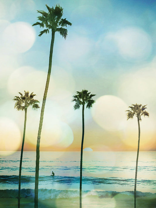 Sunset Surfer