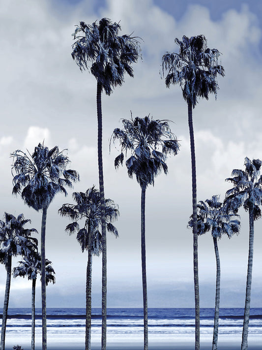 Beach Palms Indigo II