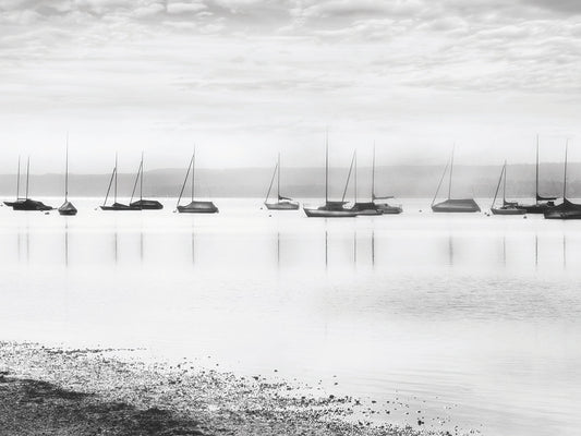 Ammerlake Morning