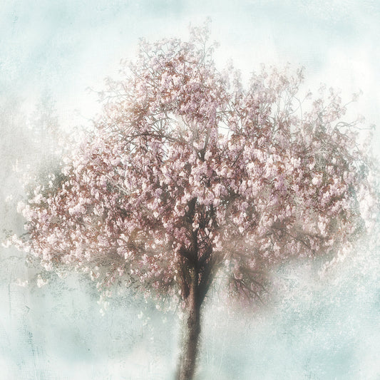 Awakening I