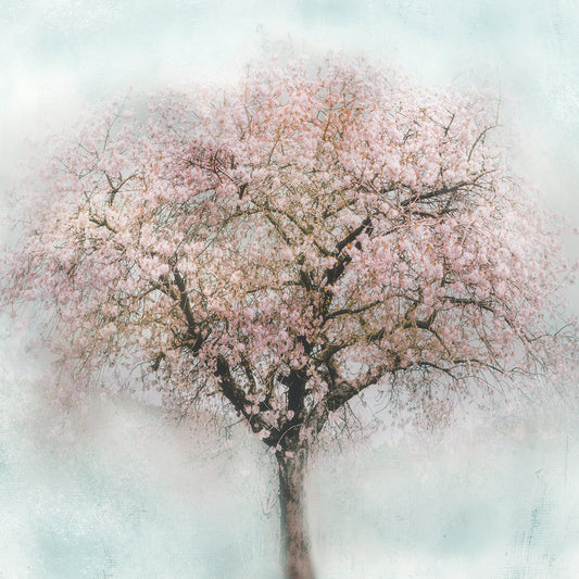 Awakening II