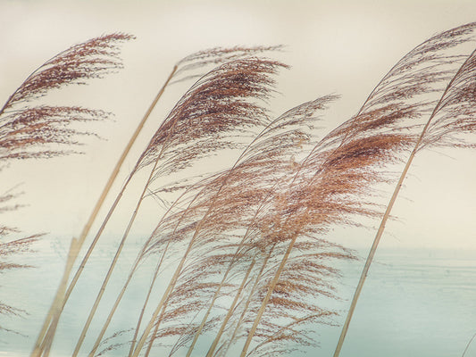 Windy II
