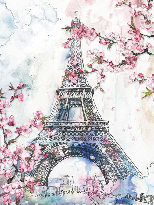Cherry Blossoms Paris
