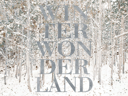 Winter Wonderland
