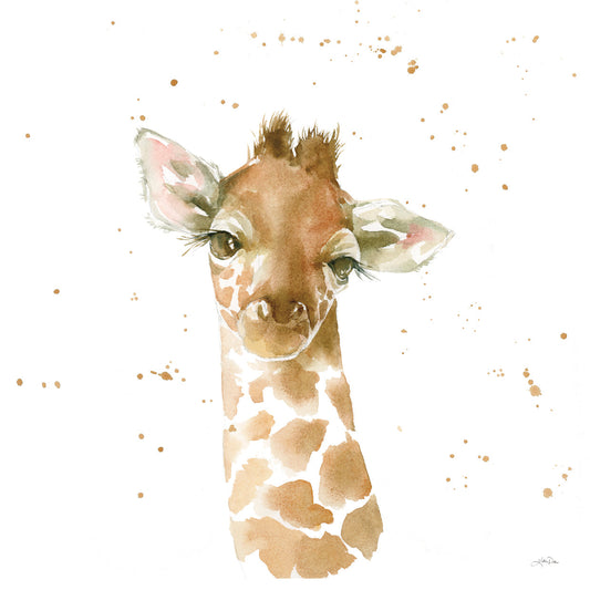 Baby Giraffe