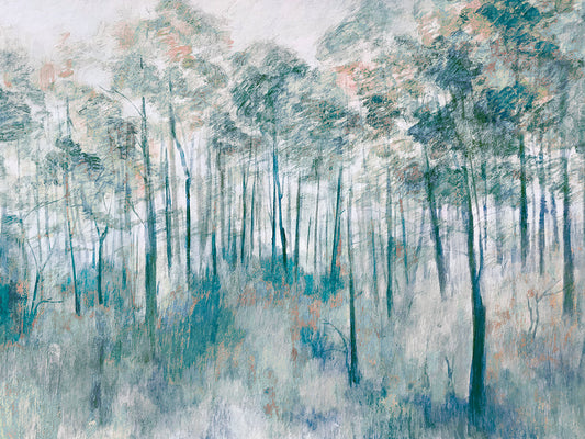 Forest Scene