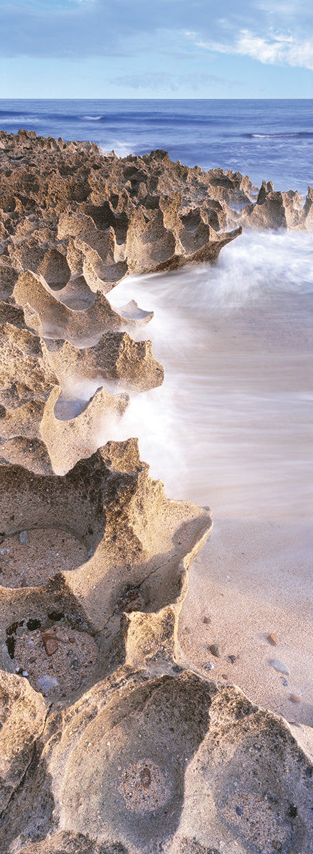 Sea of Cortez Shoreline